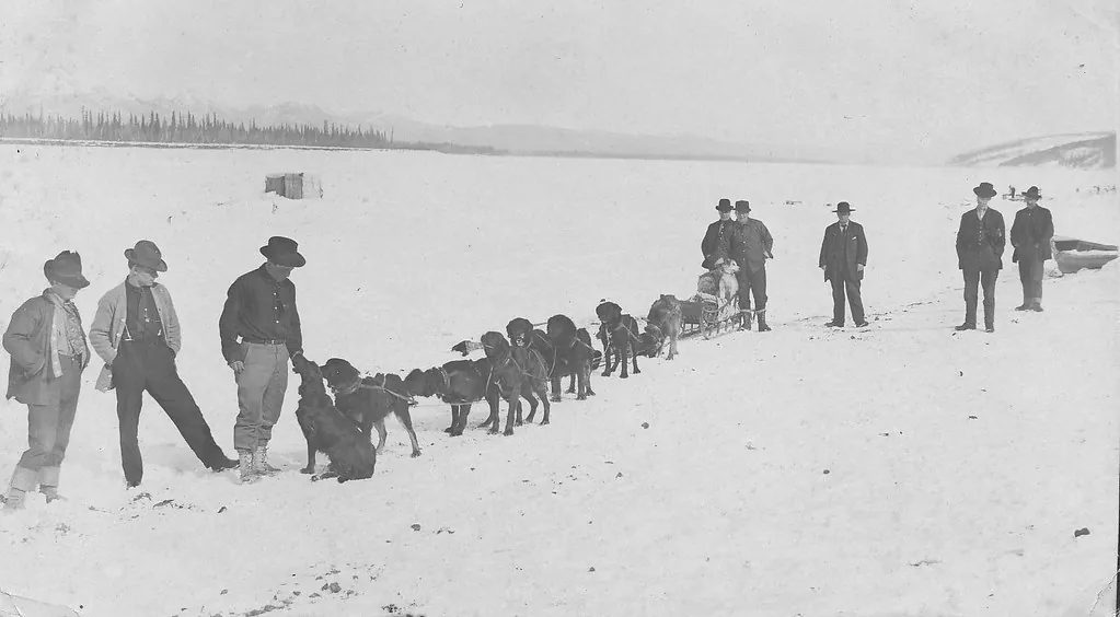 Dog sled Alaska